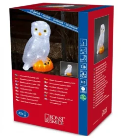 Chouette Lumineuse Led En Acrylique, 27 Cm