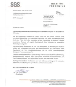 Cone D'Encens Senteur Cannelle Pomme